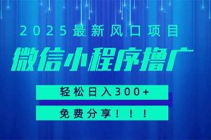 (14375期)微信小程序撸广,最新风口项目,日入300+ 免费分享 可批量操作 小白可…