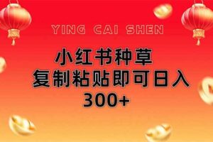 (14350期)小红书种草无脑操作复制粘贴即可日入300+